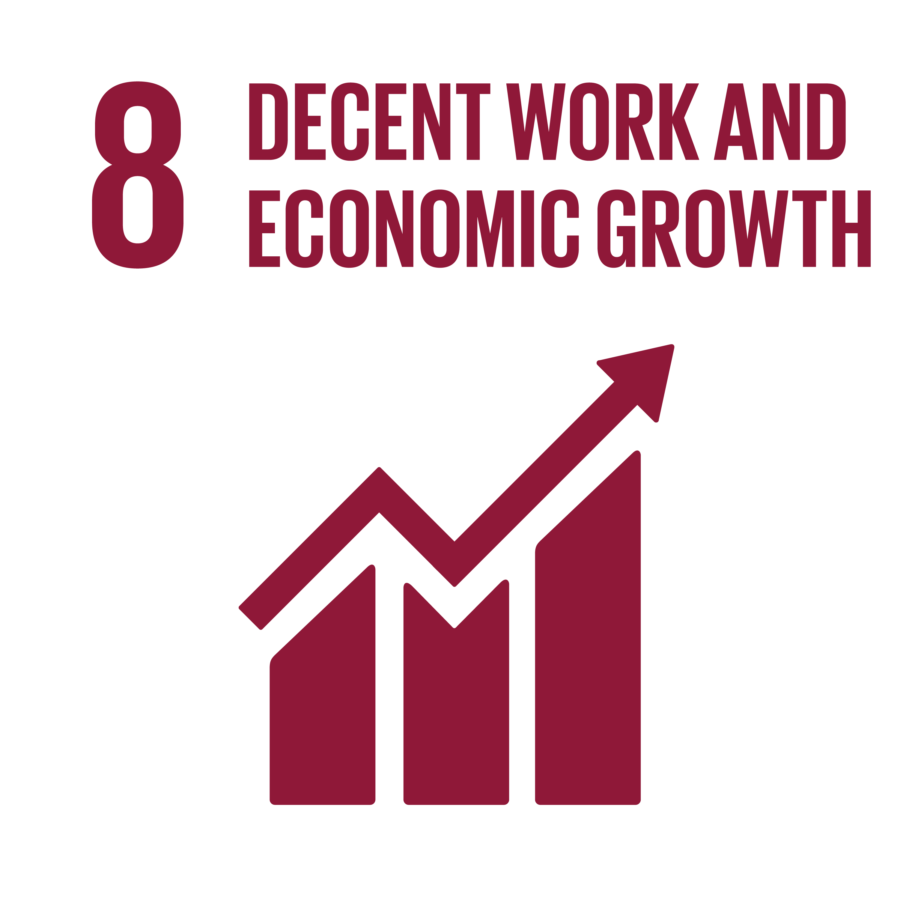 SDG 8 _ decent work and economic growth