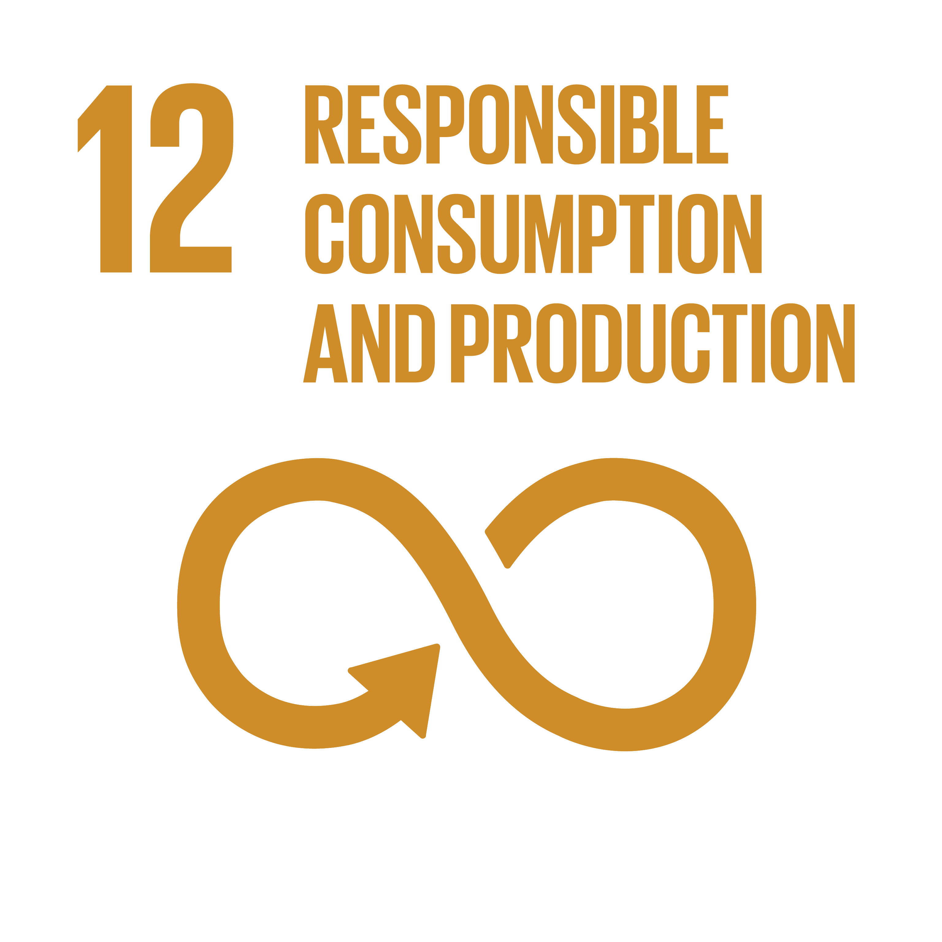 Responsible consumption and production - SDG goal 12